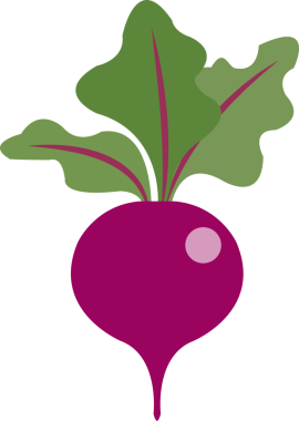 Renkli gıda malzemesi sebze pancarı.