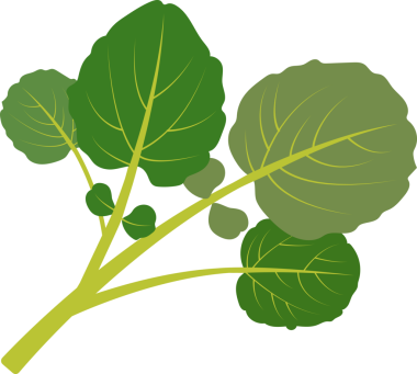 Renkli gıda malzemesi sebze suyu.