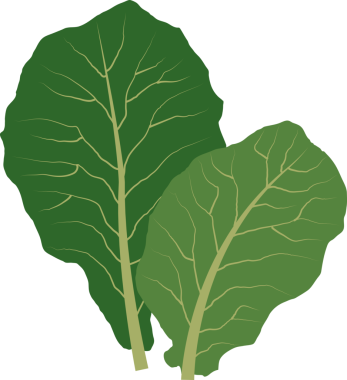 Renkli gıda malzemeleri sebze lahanaları.