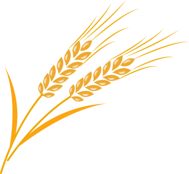 Renkli besin arpası