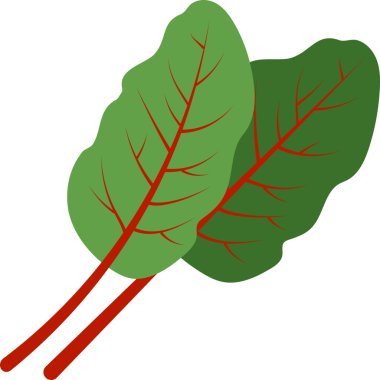 Renkli gıda malzemesi sebze Mangold İsviçre pazı yaprağı