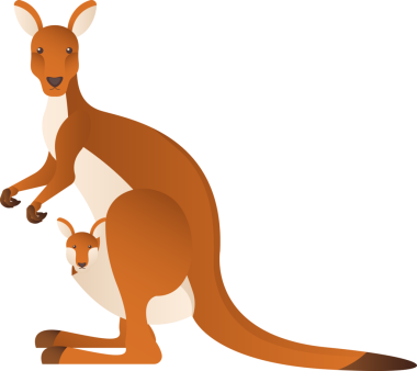 Avustralya hayvan kangurusu karikatür çizimi izole nesne 