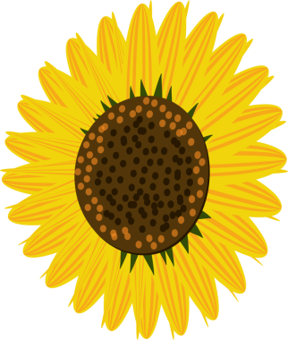 Botanik bahçesi doğa ayçiçeği