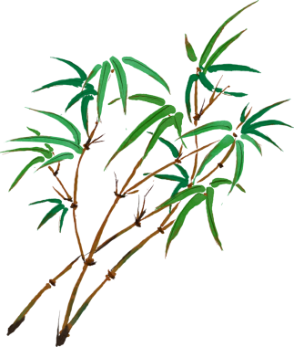 Suluboya Çin mürekkep boyası bambu bitkisi