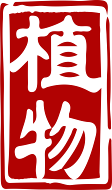 Geleneksel Çin kırmızı pul metni