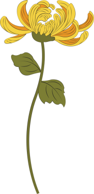 Retro Çin tarzı illüstrasyon sarı kasımpatı çiçeği
