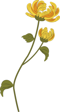 Retro Çin tarzı illüstrasyon sarı kasımpatı çiçeği