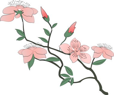 Retro Çin tarzı illüstrasyon Malus spektabilis çiçek açtı