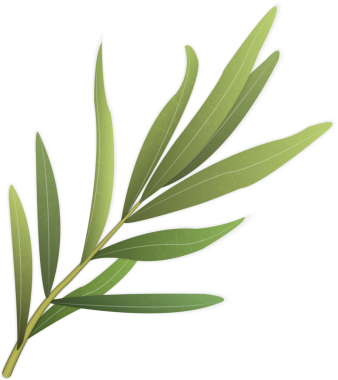 3D nesne zarif botanik bahçesi yaprağı