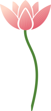 Çin geleneksel kağıdı pembe zarif nilüfer çiçeğinin kabartmasını kesiyor