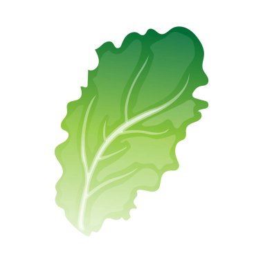 Yeşil oragnic bitkisel yaprak çizimi 