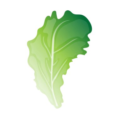 Yeşil oragnic bitkisel yaprak çizimi 