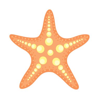 Sarı Leke Vektör Resimli Çizgi Film Biçimli Turuncu Denizyıldızı