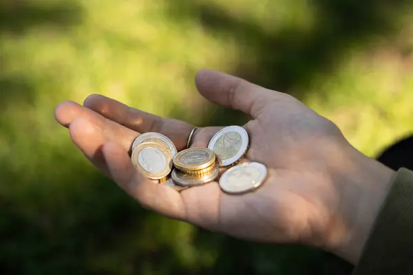Woman hand with euro coins with green grass with sun on background