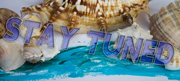Animal Shell, Summer vacation, marine background with Stay Tuned text.