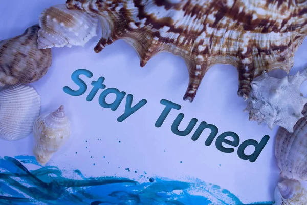 Animal Shell, Summer vacation, marine background with Stay Tuned text.