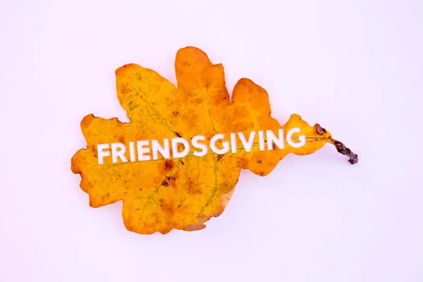Herbstblätter Objekte Mit Freundschaftlichem Text Natürliche Muster Farbgestaltung — Stockfoto