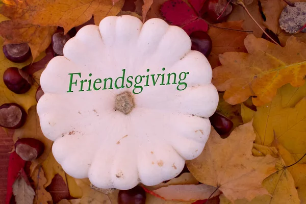 Φύλλα Φθινοπώρου Αντικείμενα Κείμενο Φιλίας Φυσικά Μοτίβα Χρωματικός Σχεδιασμός — Φωτογραφία Αρχείου