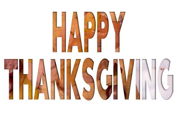 Herbstblätter Objekte Mit Thanksgiving Text Natürliche Muster Farbgestaltung — Stockfoto