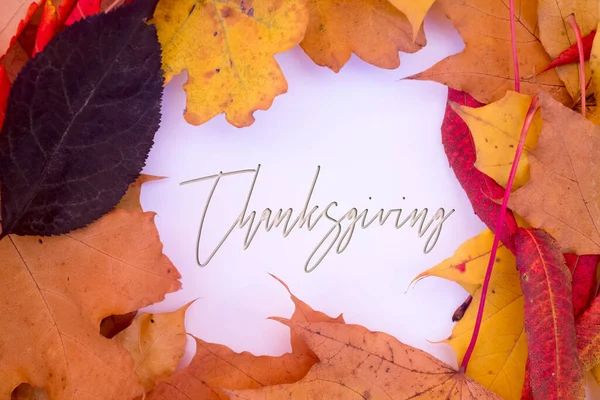 Herbstblätter Objekte Mit Thanksgiving Text Natürliche Muster Farbgestaltung — Stockfoto