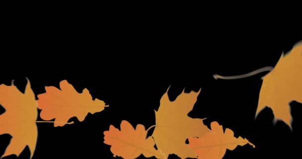 Herbstblätter Fallen Herunter Mit Prozentzeichen Und Schwarzem Hintergrund — Stockvideo
