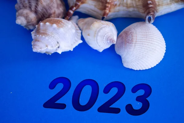 Animal Shell, Summer vacation, marine background with the number 2023.