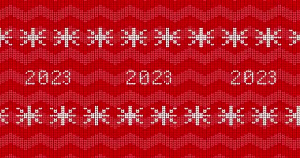 Vánoce Nový Rok Dovolená Sezóna Červená Ošklivý Svetr Bílými Sněhové — Stock video