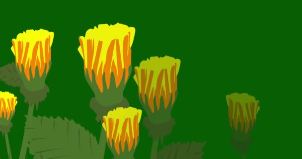 Flower Meadow Dengan Sold Out Text Animasi Kartun Bunga Liar — Stok Video