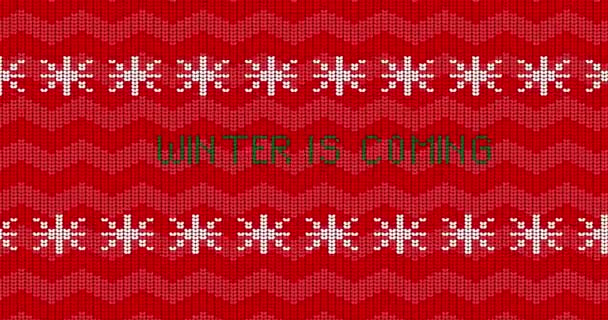 Рождественские Новогодние Праздники Сезон Красный Уродливый Свитер Белыми Снежинками Зимой — стоковое видео