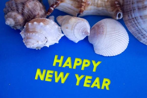 Animal Shell Summer Vacation Marine Background Happy New Year Text — стокове фото
