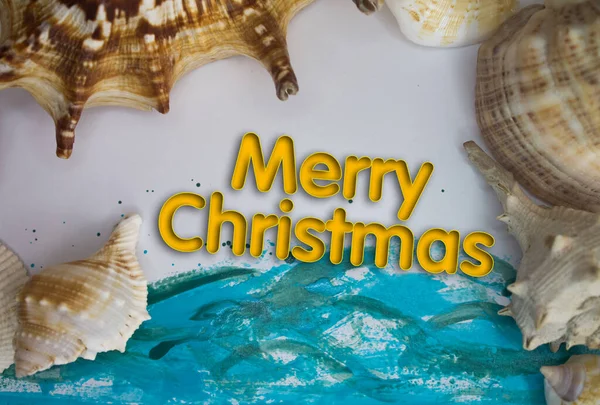 Animal Shell, Summer vacation, marine background with Merry Christmas text.