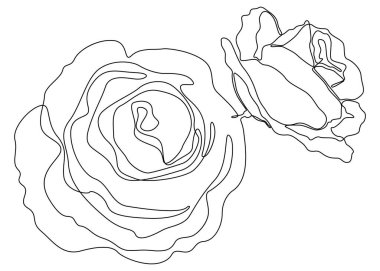 One continuous line of rose. Thin Line Illustration vector concept. Contour Drawing Creative ideas.