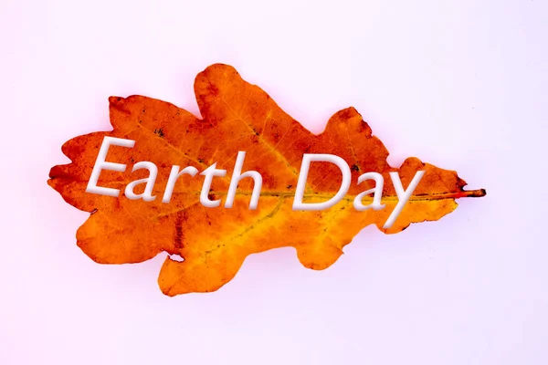 Herfst Bladeren Objecten Met Earth Day Tekst Natuurlijke Patronen Kleurontwerp — Stockfoto