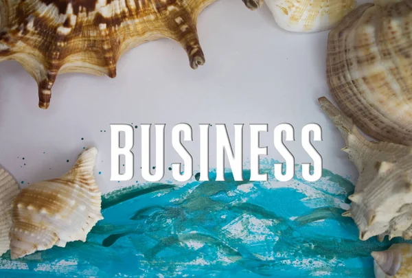 Animal Shell Καλοκαιρινές Διακοπές Θαλάσσιο Υπόβαθρο Επιχειρηματικό Κείμενο — Φωτογραφία Αρχείου