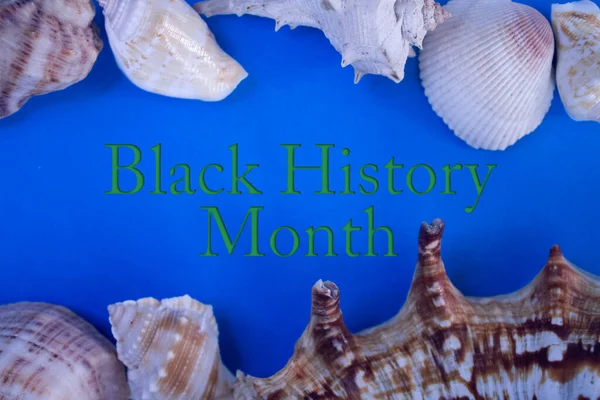 Animal Shell, Summer vacation, marine background with Black History Month text.