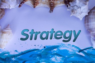 Hayvan Kabuğu, Yaz tatili, Strateji metniyle deniz geçmişi.