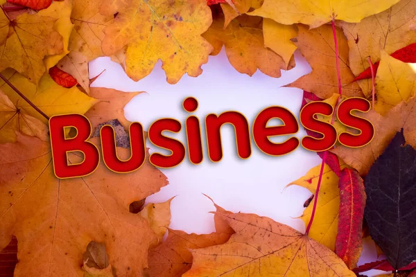 Folhas Outono Objetos Com Texto Business Padrões Naturais Design Cores — Fotografia de Stock
