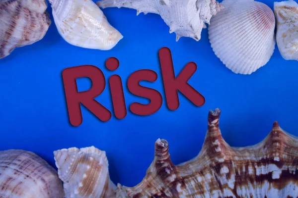 Animal Shell, Summer vacation, marine background with Risk text.