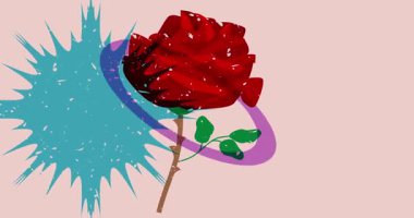 Geometrik şekilli Risograph Rose animasyonu. Moda riso grafik tasarım videosunda nesne taşınıyor.