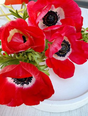 Kırmızı Anemone Çiçekleri Bir Masada Yatar