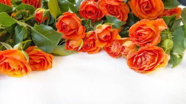 Açık Kumaş Arkaplanda Turuncu Spreyli Güller Zarif Çiçek Durgun Hayat