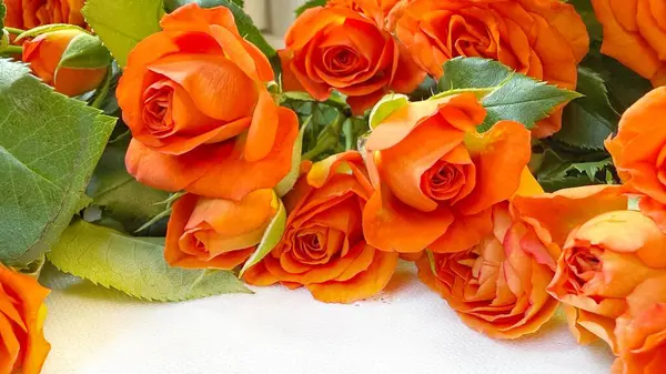 Açık Kumaş Arkaplanda Turuncu Spreyli Güller Zarif Çiçek Durgun Hayat