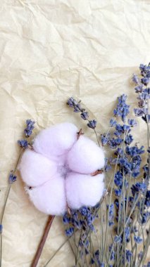 Kraft Kağıt Arkaplanda Kurutulmuş Lavanta ve Lagurus ile Pembe Pamuk Boll