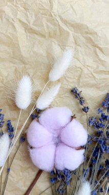 Kraft Kağıt Arkaplanda Kurutulmuş Lavanta ve Lagurus ile Pembe Pamuk Boll