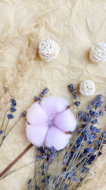 Kraft Kağıt Arkaplanda Kurutulmuş Lavanta ve Lagurus ile Pembe Pamuk Boll