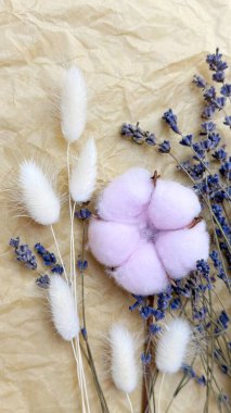 Kraft Kağıt Arkaplanda Kurutulmuş Lavanta ve Lagurus ile Pembe Pamuk Boll