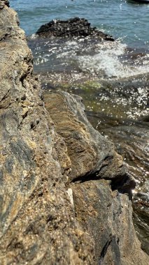 Yosun Kıyı Kayalıklarına Dinamik Dalgalar Çarpıyor