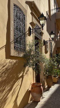 Ahşap Kapılar ve Zeytin Ağaçları ile Taştan Ev Girişi Akdeniz Mimarisi