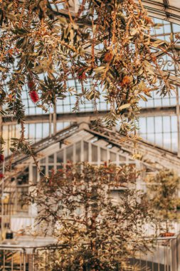 Botanik Bahçe peyzaj