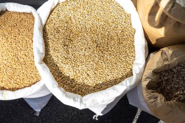 Pazarda satılık yulaf.